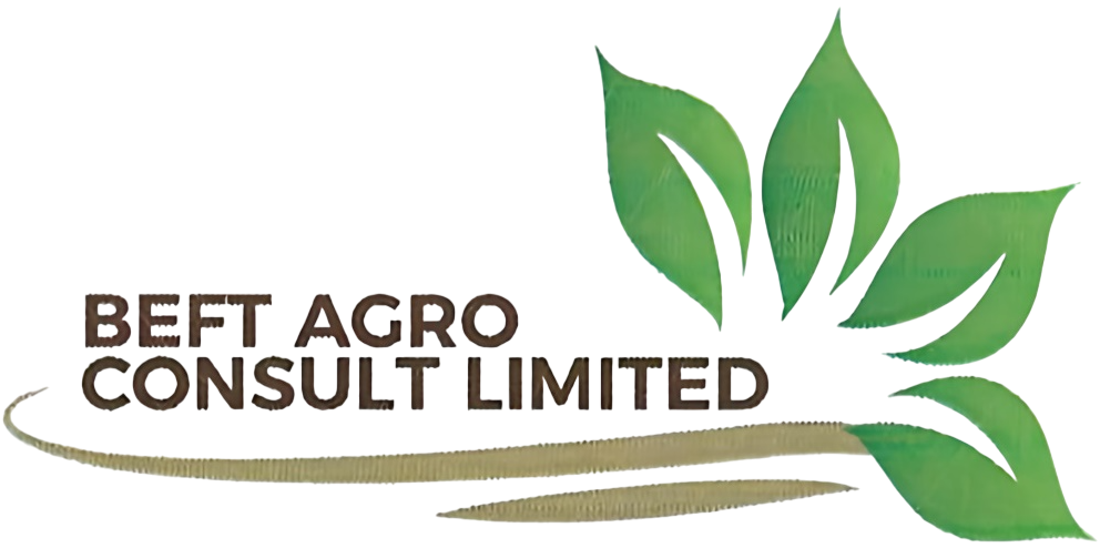 Beft Agro Consult Limited